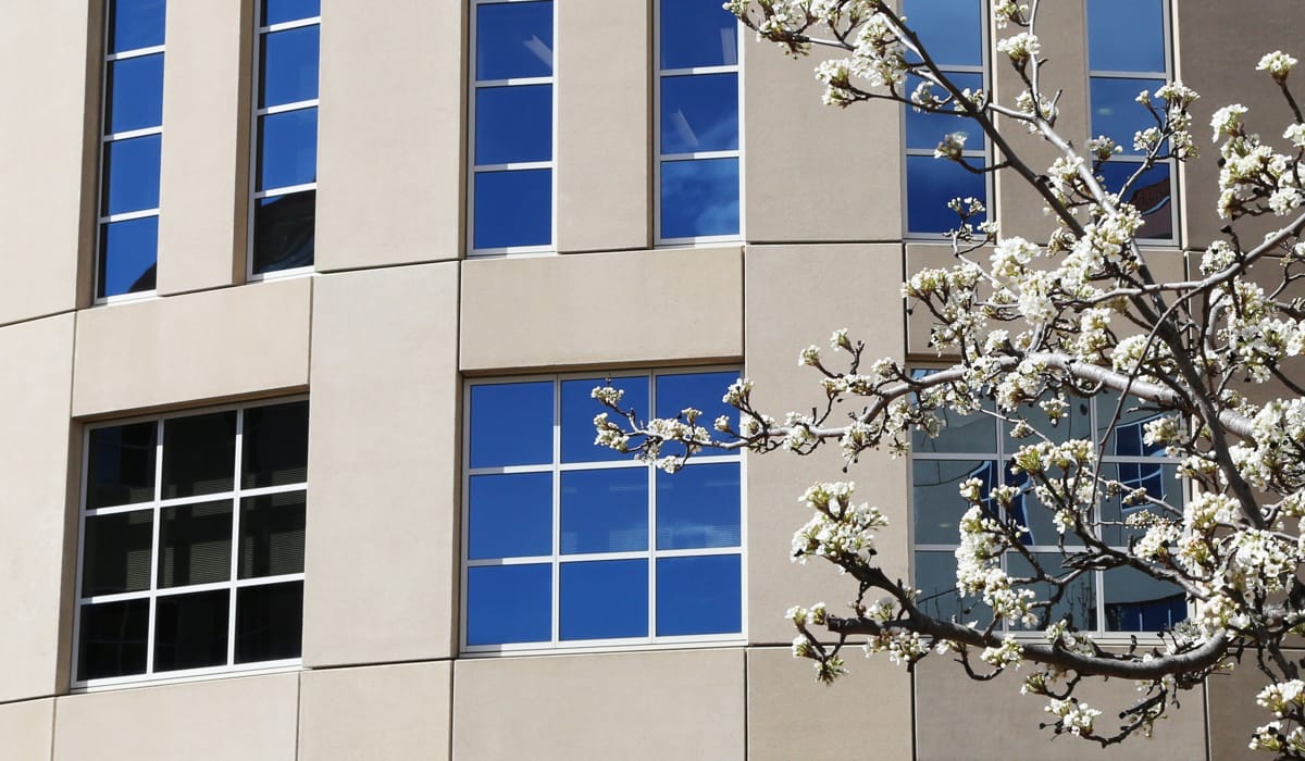 Career staff are entitled to argue that they have served a long, sometimes arduous, possibly dangerous, apprenticeship in junior positions (Nathan Fulton/DFAT)