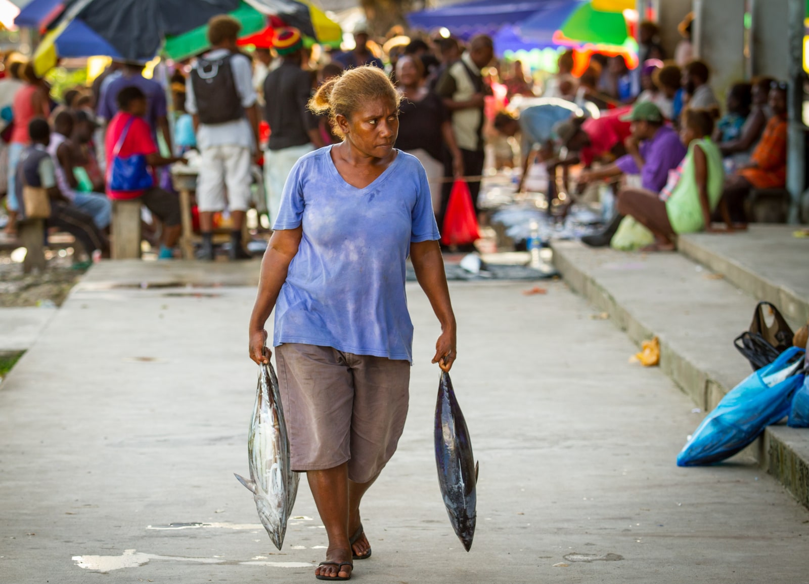 Tuna purchased at Auki market, Malaita Province, Solomon Islands (Filip Milovac/WorldFish)