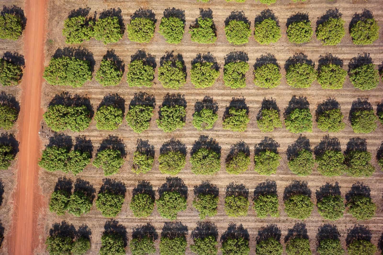 Australian agriculture