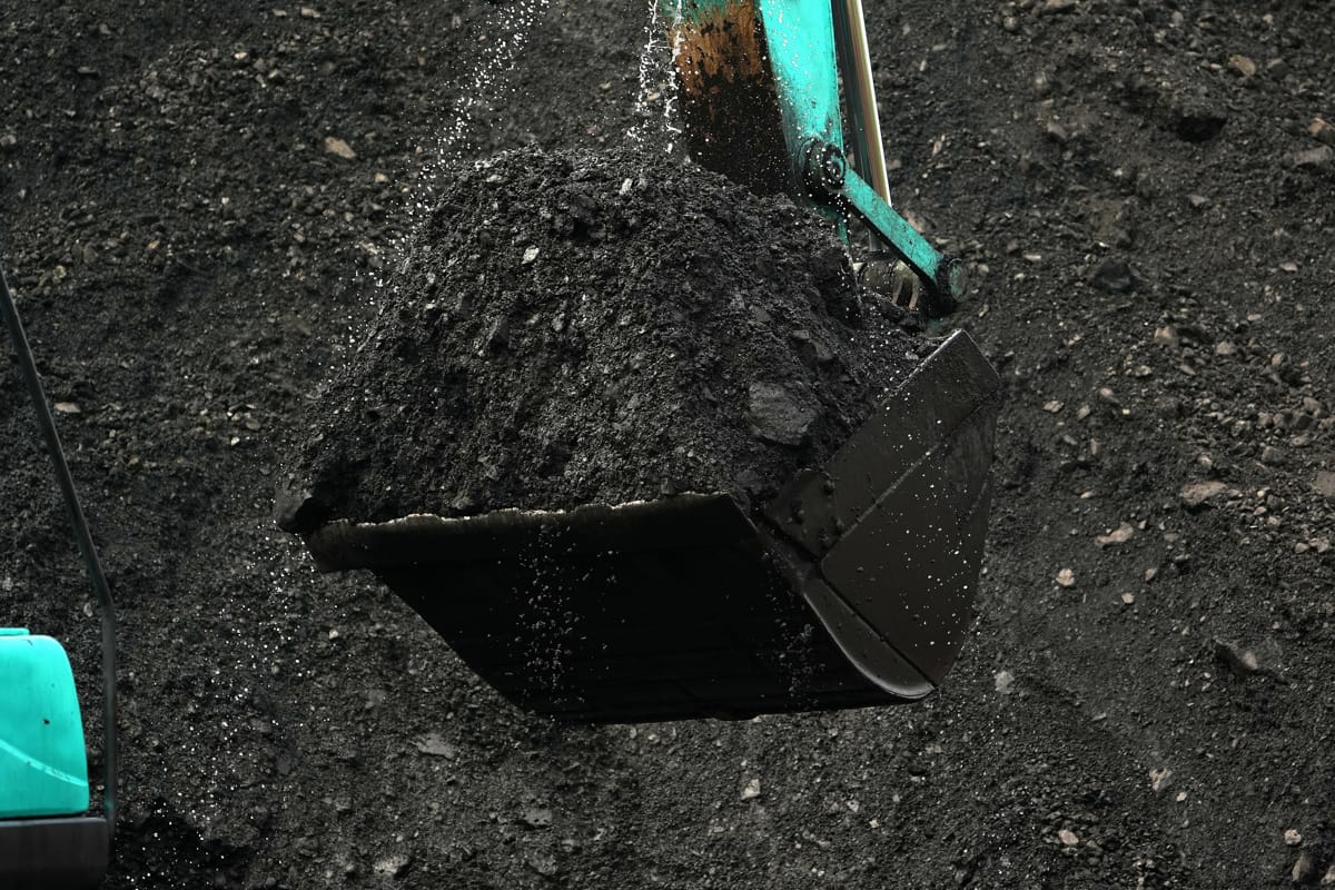 Coal at Cirebon Port in West Java, Indonesia (Dimas Ardian/Bloomberg via Getty Images)