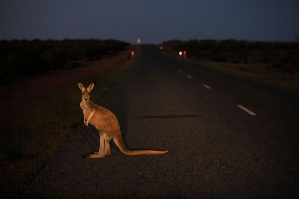 Go your own way (Mark Evans/Getty Images)