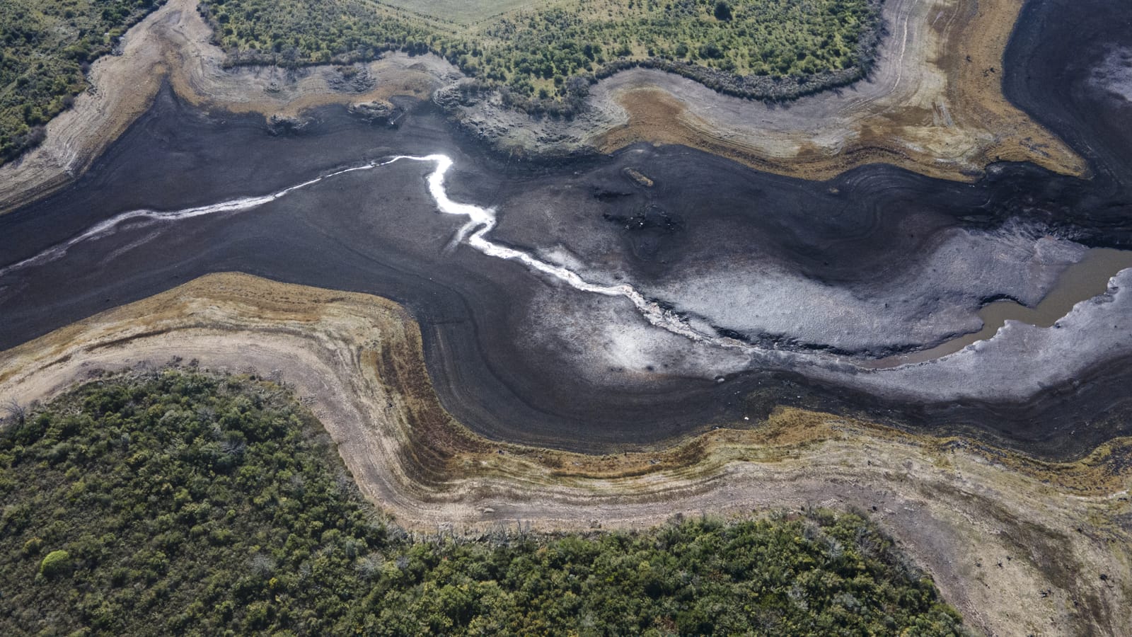 Uruguay is confronting a water emergency: Santa Lucia river at Paso Severino reservoir last month as a La Niña climatic phenomenon fuels a drought (Ernesto Ryan/Getty Images)