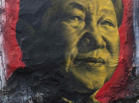 Xi Jinping and the grip of the party