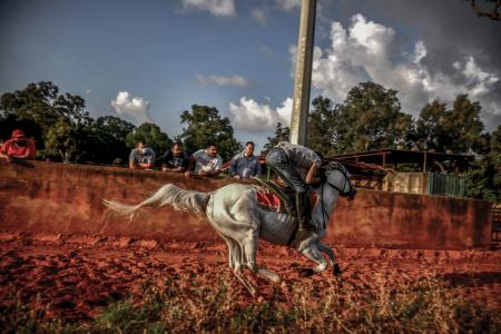 A day at the (Beirut) races