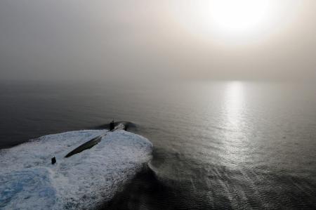 What the Quad could learn from AUKUS