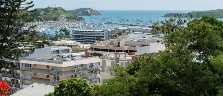 Pacific links: Manus shootings, French elections, miniscule frogs and more