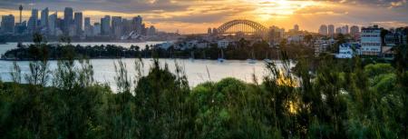 'In praise of foreign investment'