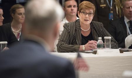 Marise Payne: charting the battle lines for Australian security