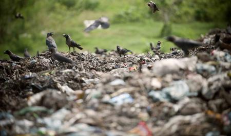 Aid and development links: waste pickers, African high tech, and US aid changes
