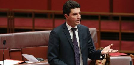 Our parliamentarians should be Australian-only