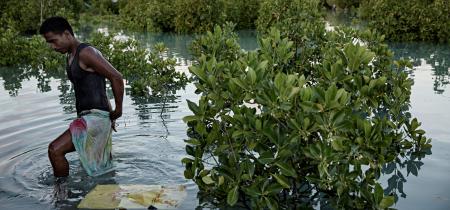 Finding Australia’s fair share of climate finance