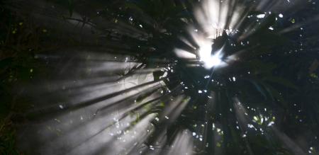 Landowners to rescue Solomon Islands mine - and perhaps more