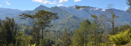 How the ABC can avoid tuning out the Pacific 