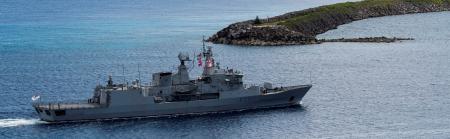 A silver fern lining to Fitzgerald collision