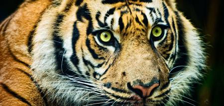 Interview: Author of 'How Asia Works'