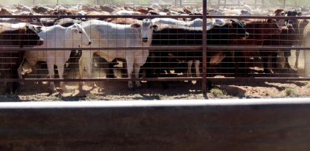 How the White Paper can turn economic adversity into opportunity