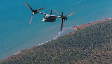 Observing Crocodile Strike