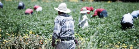 Aid & Development links: Seasonal work, the Gates letter, ADB research and more