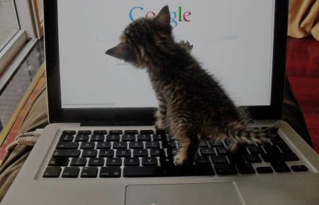 Profit shifting: digital fat cats in national tax gaps