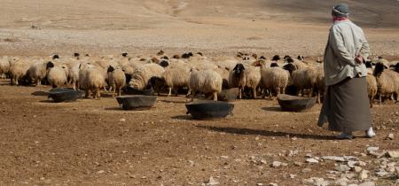 Syria: Losing lives and land