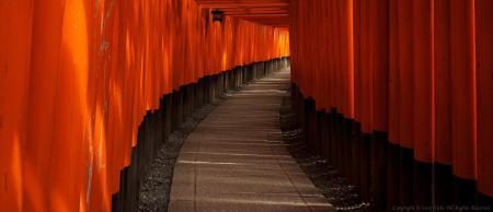 Quad redux: A new agenda for Asia's maritime democracies