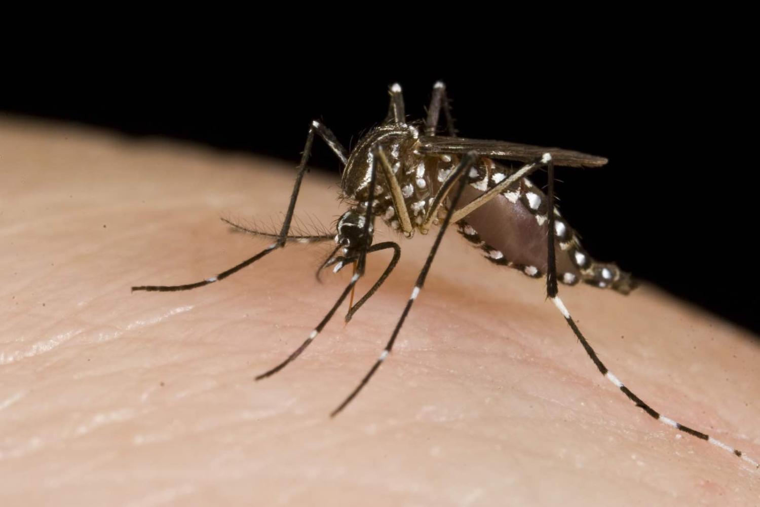 Ouch (Photo: DFAT/Flickr)