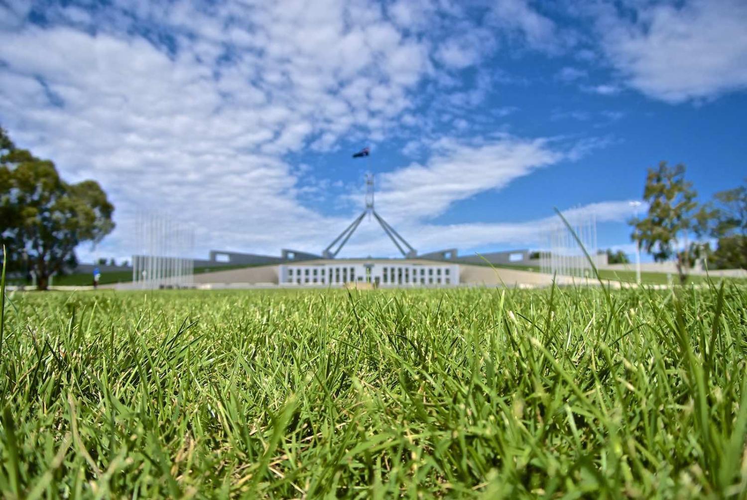 Out to pasture? (Jason Tong/Flickr)