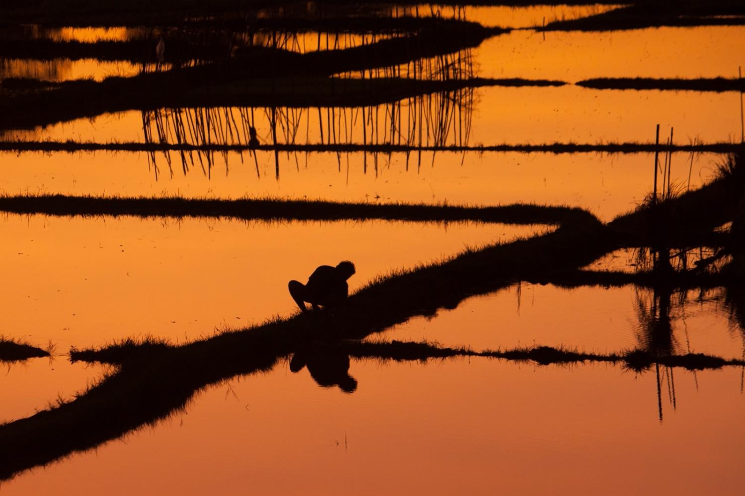 Indonesians have been warned of the likelihood of El Niño causing a long, dry season (Boglárka Mázsi/Unsplash)