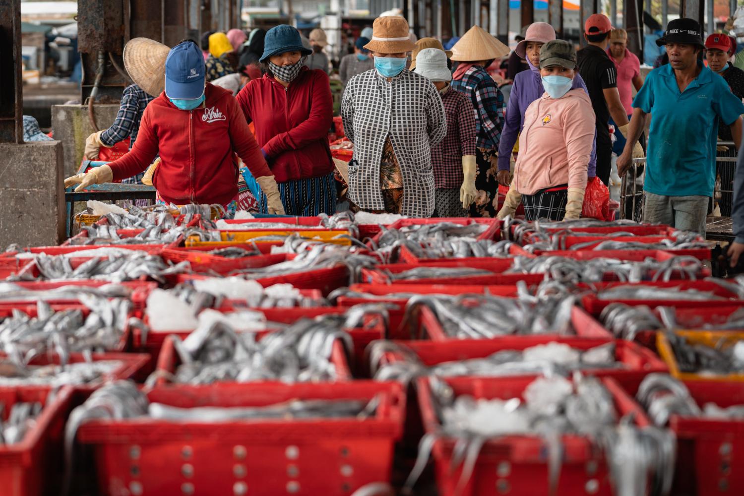 Women buying crates of Ribbon Fish at pier, Luong Son, Vietnam (Flickr/Adam Cohn)