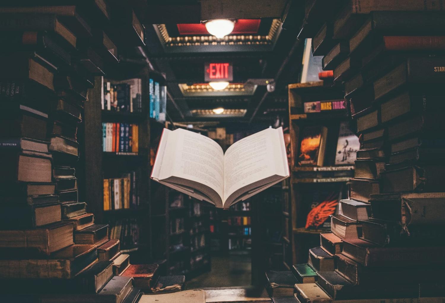 Fiction also balances learning with the simple pleasure of a fun story (Jaredd Craig/Unsplash)