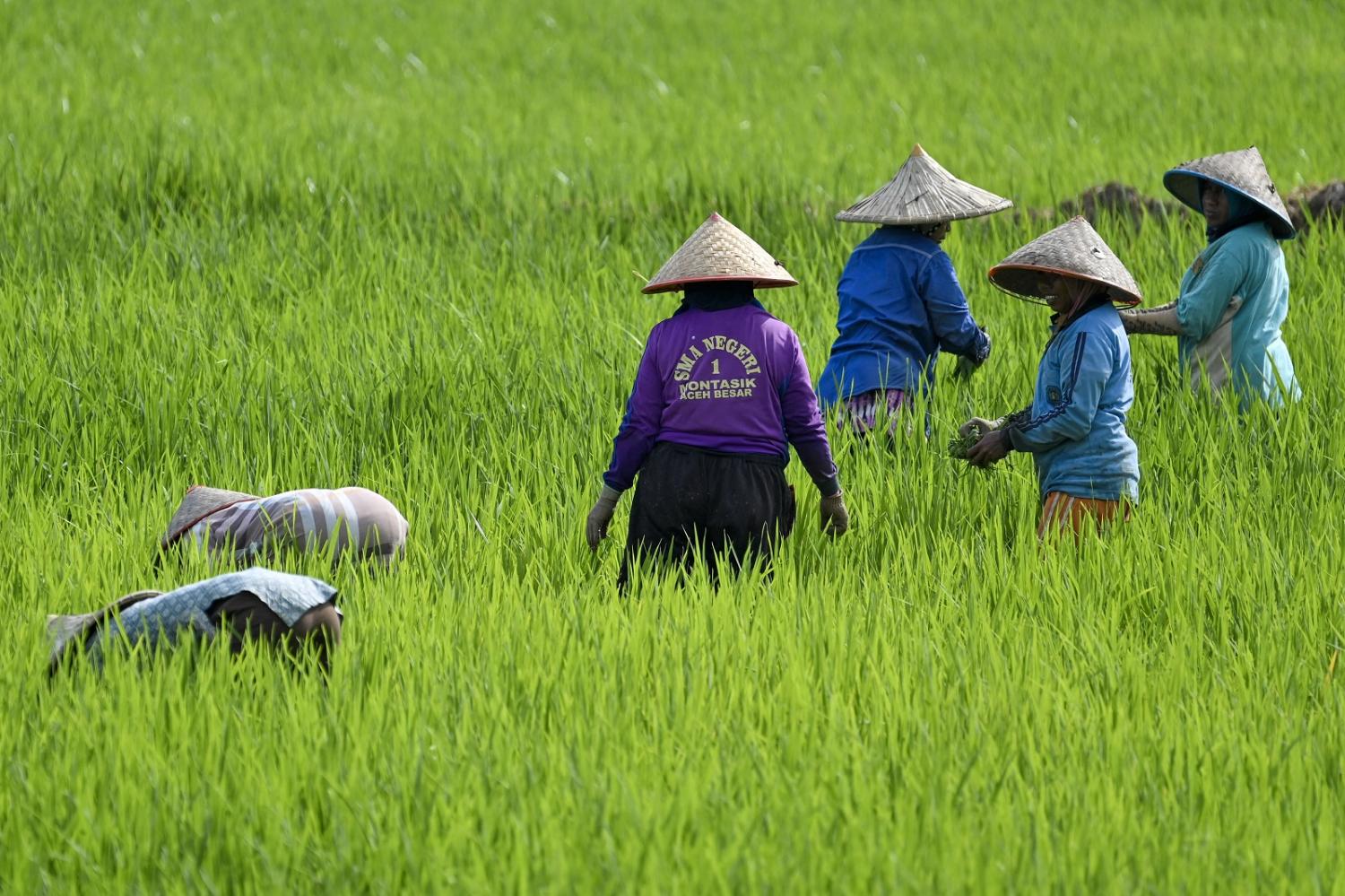 Indonesia’s eagerness to join BRICS+ won’t be matched by economic advantage (Chaideer Mahyuddin/AFP via Getty Images)