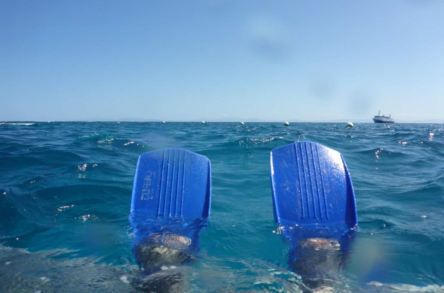 Albert Straub/Flickr