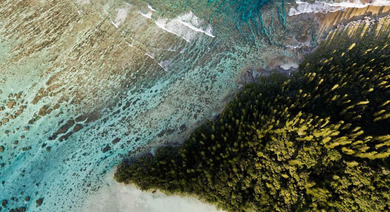 Sud, New Caledonia (Photo: Chris Hoare/Flickr)