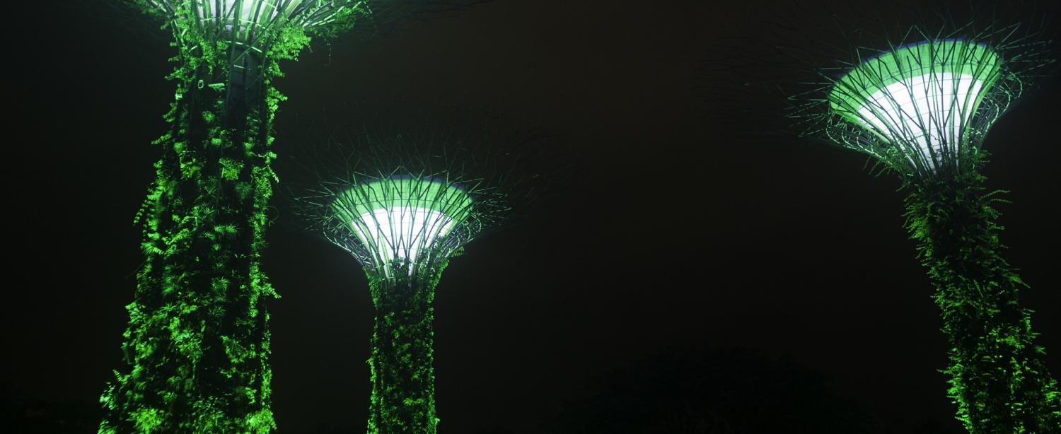 Photo: bubusbubus/Flickr