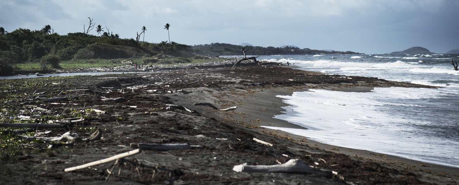 The beach at Telescope Point, Grenada, 2015 (Photo: UNEP/Flickr)