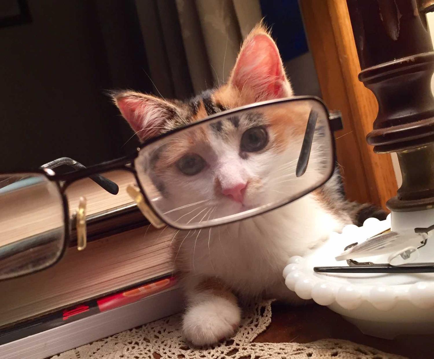 Reading the fine print (Julie Falk/Flickr)