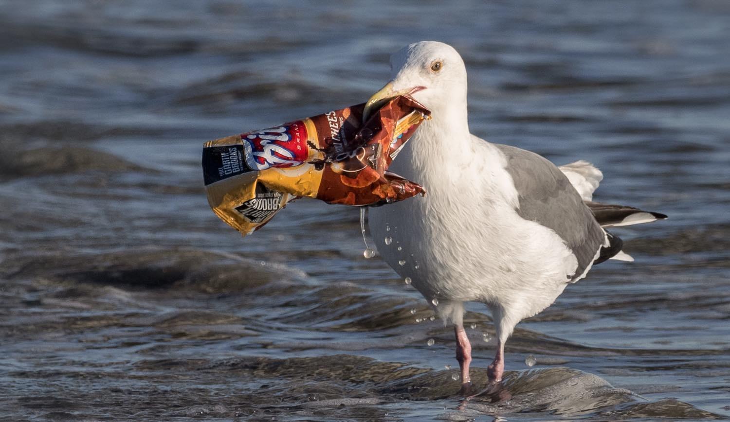 The Osaka Framework is aimed at reducing marine plastic waste, but its proposed measures are both voluntary and vague (Photo: Ingrid Taylar/Flickr)