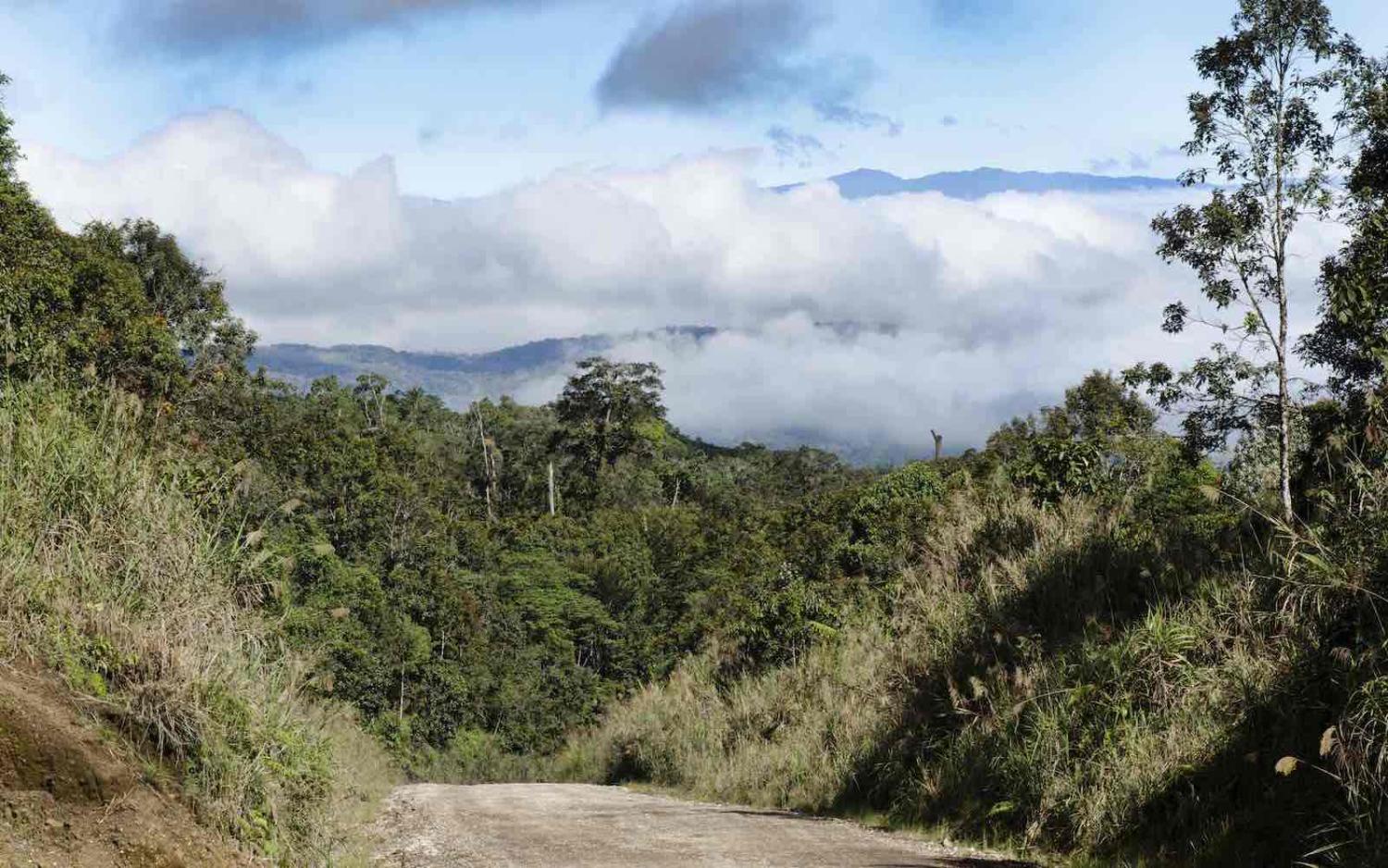 Tari, in Papua New Guinea’s Hela province (David Tipling/Universal Images Group via Getty Images)