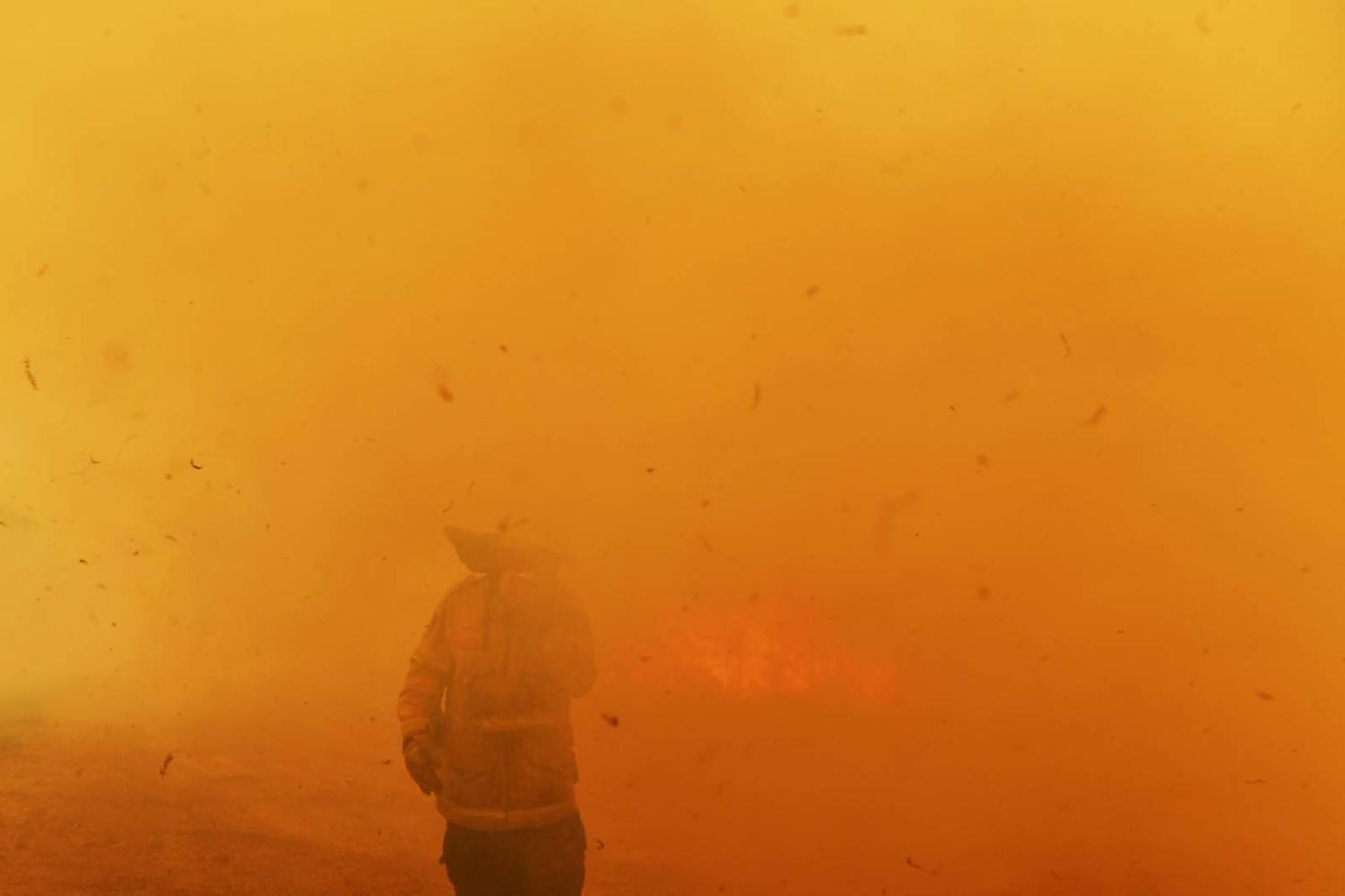 Catastrophic fire conditions – the highest possible level of bushfire danger – have afflicted eastern Australia in the last week (Photo: Sam Mooy/Getty Images)