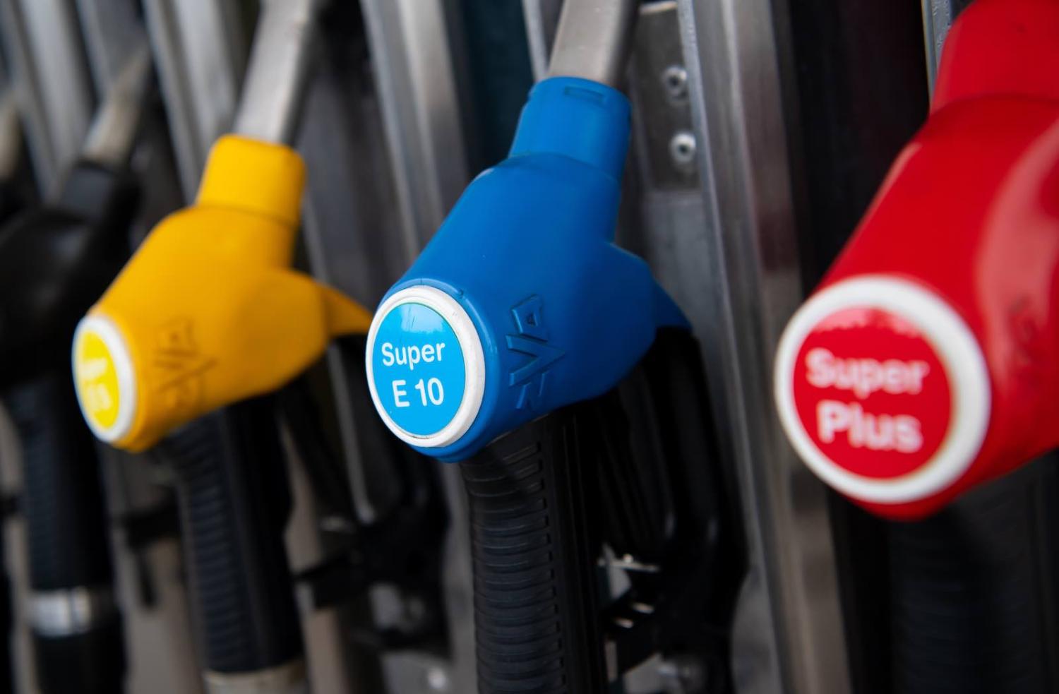 Sven Hoppe via Getty Images