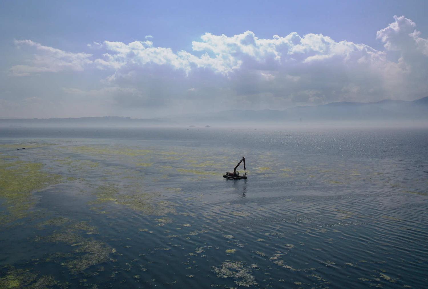An overgrowth of sea lettuce due to the increasing of nitrogen and phosphorus in the Gulf of Izmir, Turkey (Mahmut Serdar Alakus/Anadolu Agency via Getty)