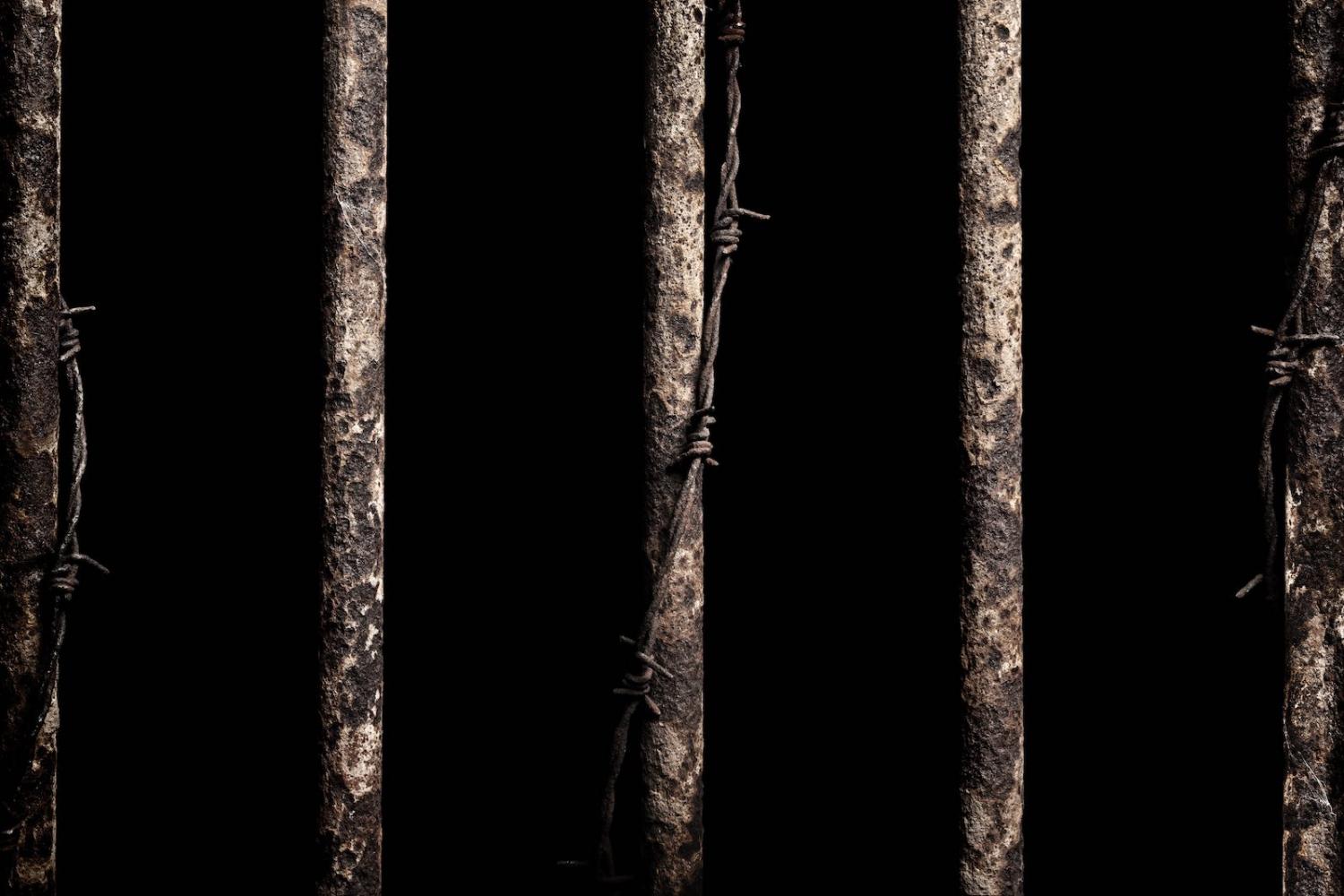 Abolitionists argue for an absolute so calls for clemency for former ISIS fighters should be as loud as in other cases (Photo: Getty Images) 