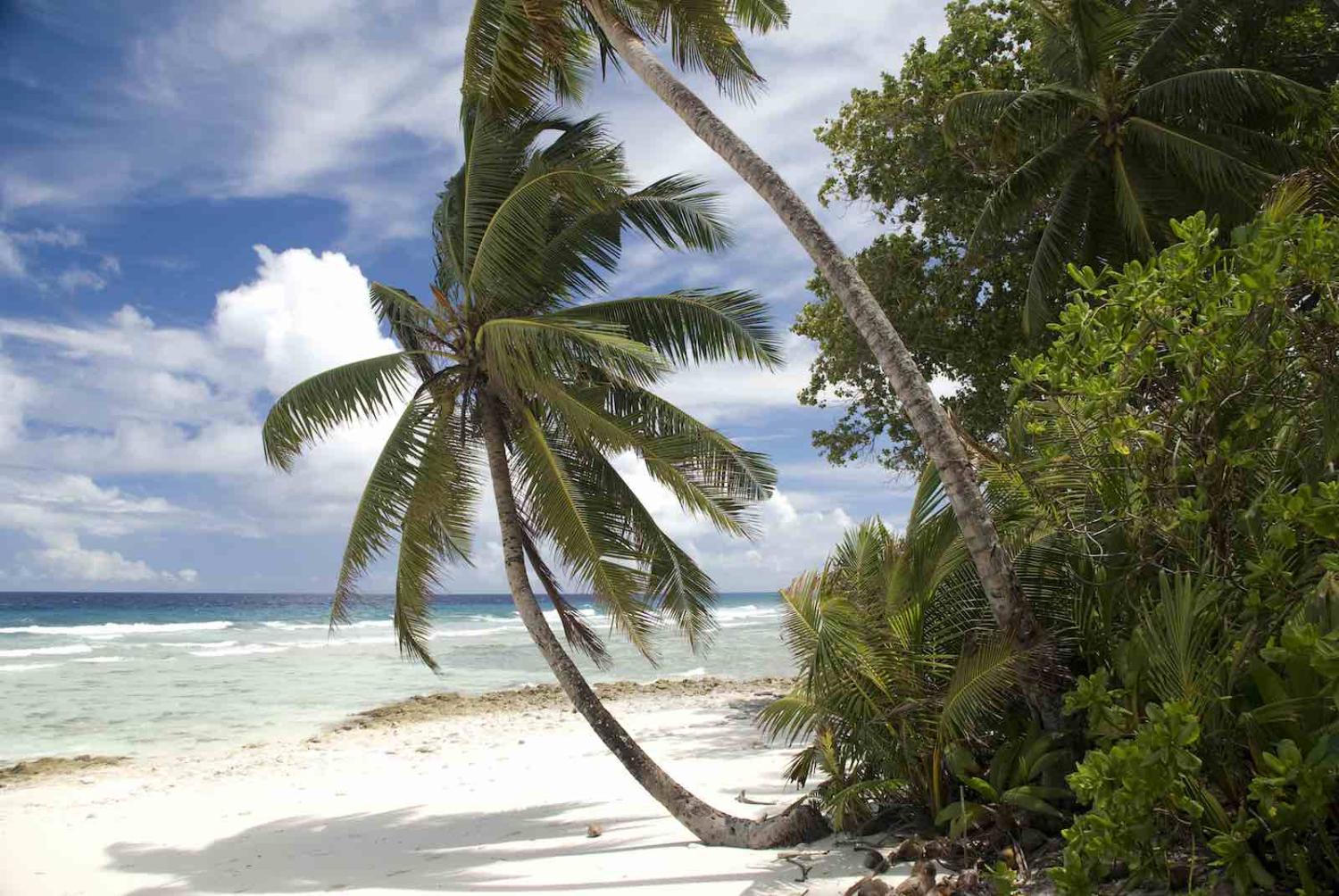 Chagos Atoll: Outlook cloudy (Photo: Getty Images)