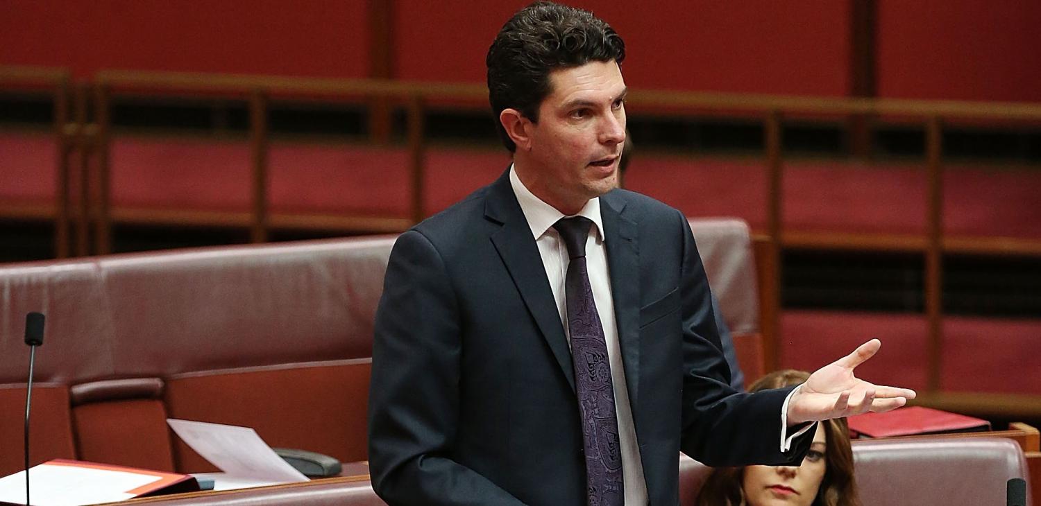 Former Greens Senator Scott Ludlam, July 2014 (Photo: Getty Images/Stefan Postles)