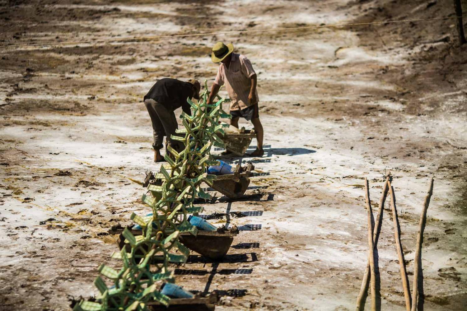 In an earlier dry spell in 2016, Vietnamese shrimp farmers wait for the waters to flow (Photo: Christian Berg/Getty Images)