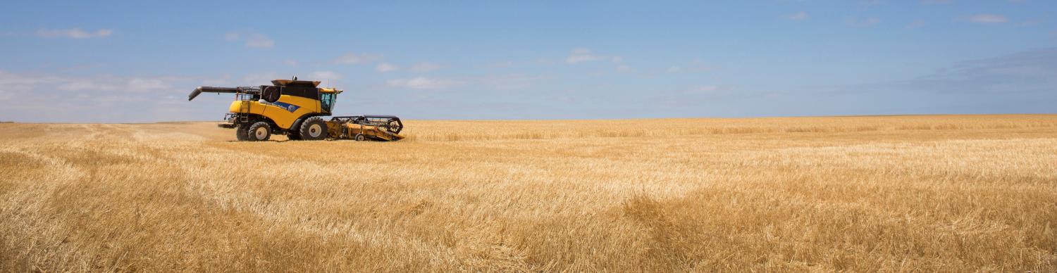 A farm near Penong, South Australia (Photo: Auscape/UIG/Getty Images)