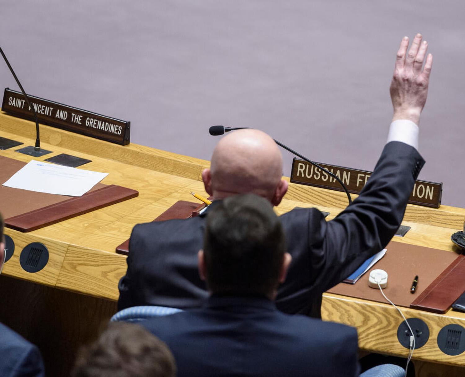 Why negotiate a new treaty when one already exists? (Loey Felipe/UN Photo)