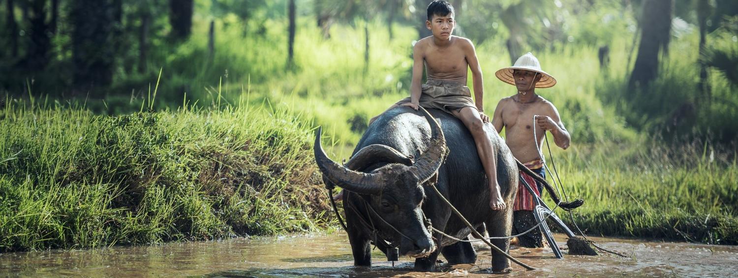 Photo: Sasint/CCO Public Domain