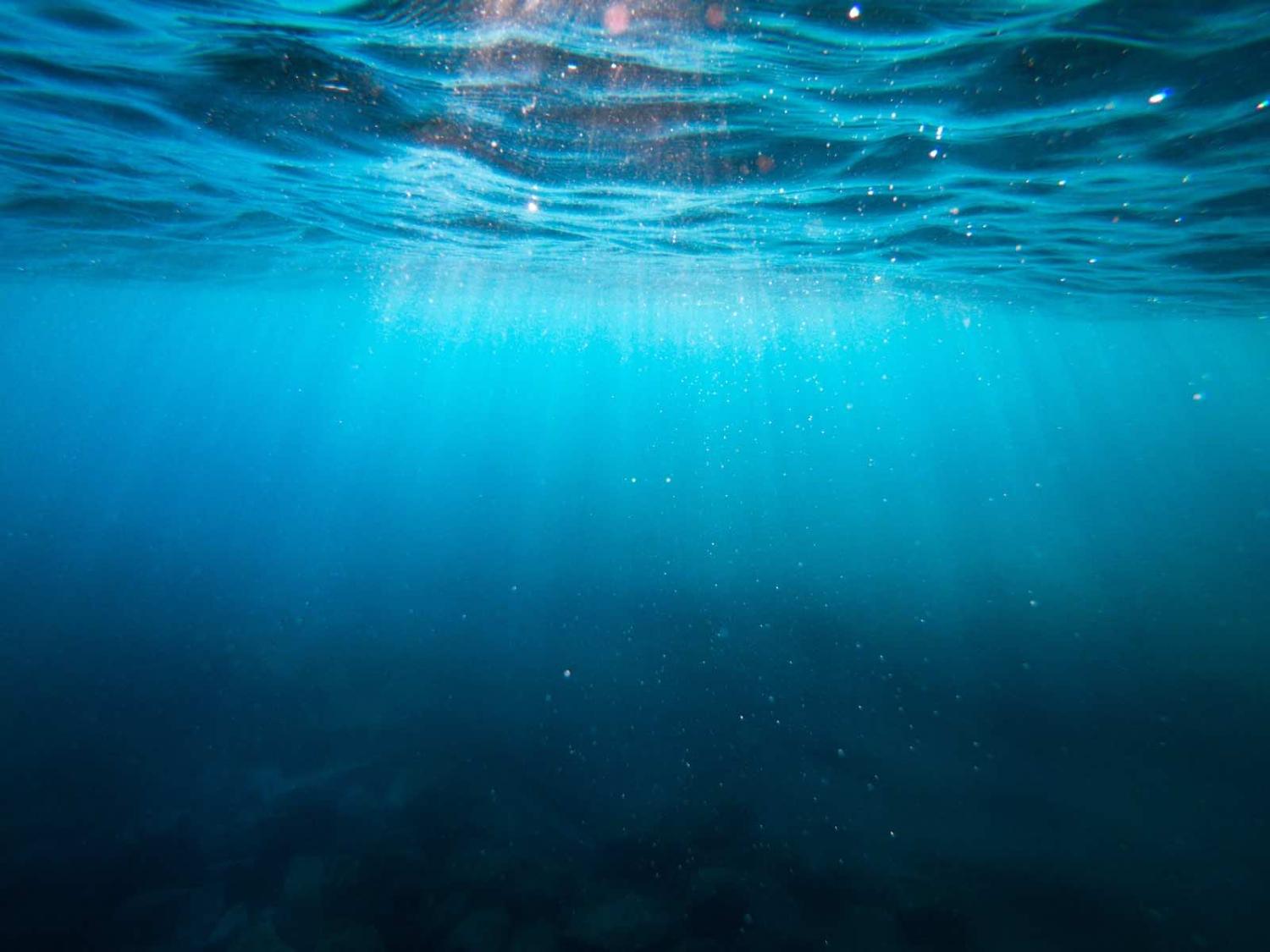 Indonesian waters have consistently attracted a large number of countries for scientific research (Cristian Palmer/Unsplash)