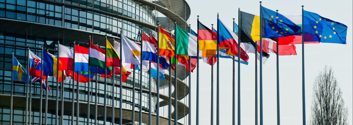 Can a populist EU survive?